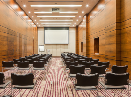 MEETING ROOMS, HYATT REGENCY DEIRA WALL PANELING-CARPET