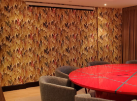 PINNACLE EXECUTIVE LOUNGE